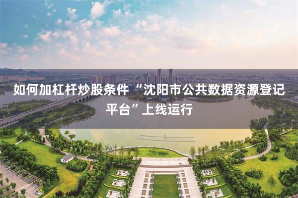 如何加杠杆炒股条件 “沈阳市公共数据资源登记平台”上线运行