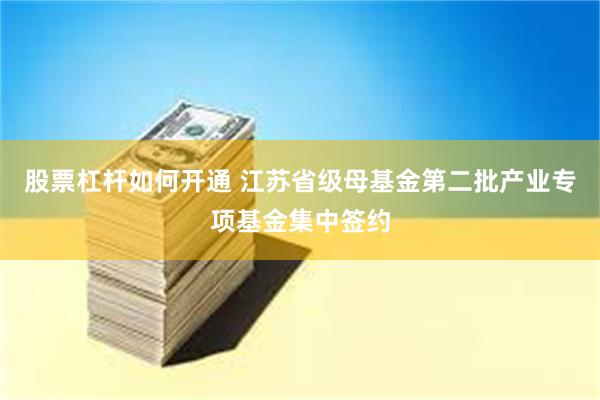 股票杠杆如何开通 江苏省级母基金第二批产业专项基金集中签约