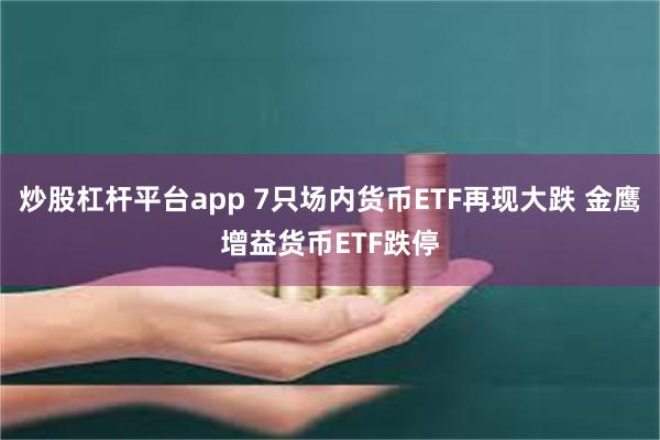 炒股杠杆平台app 7只场内货币ETF再现大跌 金鹰增益货币ETF跌停