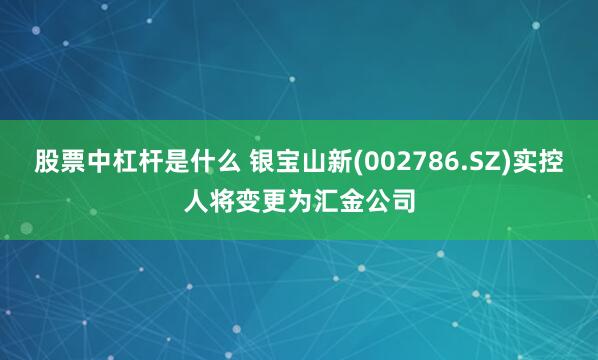 股票中杠杆是什么 银宝山新(002786.SZ)实控人将变更为汇金公司