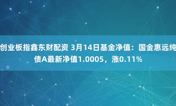 创业板指鑫东财配资 3月14日基金净值：国金惠远纯债A最新净值1.0005，涨0.11%