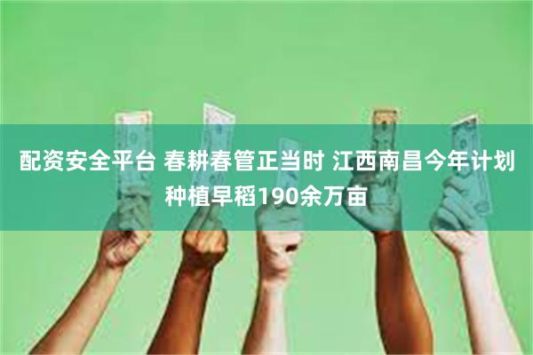 配资安全平台 春耕春管正当时 江西南昌今年计划种植早稻190余万亩